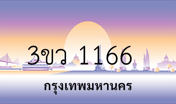 3ขว 1166